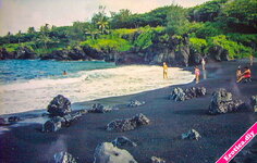 Maui Dreams-5.jpg